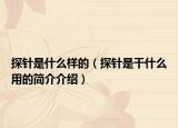 探針是什么樣的（探針是干什么用的簡(jiǎn)介介紹）
