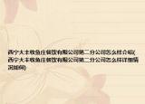 西寧大豐收魚莊餐飲有限公司第二分公司怎么樣介紹(西寧大豐收魚莊餐飲有限公司第二分公司怎么樣詳細情況如何)