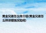 黃金兄弟怎么樣介紹(黃金兄弟怎么樣詳細(xì)情況如何)