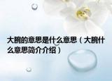 大腕的意思是什么意思（大腕什么意思簡(jiǎn)介介紹）