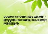 QQ寵物社區(qū)挖寶藏的小鋤頭去哪里找介紹(QQ寵物社區(qū)挖寶藏的小鋤頭去哪里找詳細情況如何)