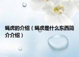 蠅虎的介紹（蠅虎是什么東西簡介介紹）