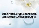 哈爾濱木耳批發(fā)市場在哪介紹(哈爾濱木耳批發(fā)市場在哪詳細(xì)情況如何)