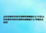 山東省淄博市周村區(qū)國泰街郵編是什么?介紹(山東省淄博市周村區(qū)國泰街郵編是什么?詳細(xì)情況如何)