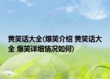 黃笑話大全(爆笑介紹 黃笑話大全 爆笑詳細情況如何)