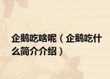 企鵝吃啥呢（企鵝吃什么簡介介紹）