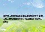 愛拍紅人腦殘哥的具體資料(知道的說下介紹 愛拍紅人腦殘哥的具體資料 知道的說下詳細(xì)情況如何)