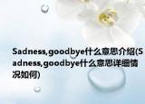 Sadness,goodbye什么意思介紹(Sadness,goodbye什么意思詳細情況如何)