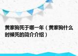 黃家駒死于哪一年（黃家駒什么時候死的簡介介紹）