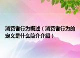 消費(fèi)者行為概述（消費(fèi)者行為的定義是什么簡介介紹）