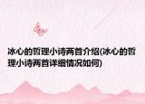 冰心的哲理小詩(shī)兩首介紹(冰心的哲理小詩(shī)兩首詳細(xì)情況如何)