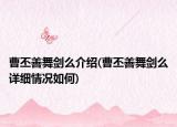 曹丕善舞劍么介紹(曹丕善舞劍么詳細情況如何)