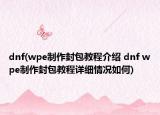 dnf(wpe制作封包教程介紹 dnf wpe制作封包教程詳細(xì)情況如何)