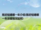 陳好結(jié)婚哪一年介紹(陳好結(jié)婚哪一年詳細(xì)情況如何)