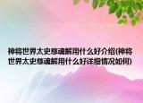 神將世界太史慈魂解用什么好介紹(神將世界太史慈魂解用什么好詳細(xì)情況如何)