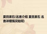 夏目漱石(名言介紹 夏目漱石 名言詳細(xì)情況如何)