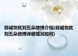 非誠勿擾劉五朵微博介紹(非誠勿擾劉五朵微博詳細(xì)情況如何)