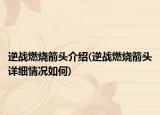 逆戰(zhàn)燃燒箭頭介紹(逆戰(zhàn)燃燒箭頭詳細(xì)情況如何)