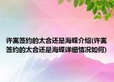 許嵩簽約的太合還是海蝶介紹(許嵩簽約的太合還是海蝶詳細(xì)情況如何)