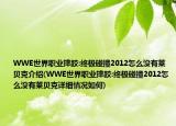 WWE世界職業(yè)摔跤:終極碰撞2012怎么沒(méi)有萊貝克介紹(WWE世界職業(yè)摔跤:終極碰撞2012怎么沒(méi)有萊貝克詳細(xì)情況如何)
