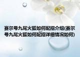 賽爾號九尾火狐如何配招介紹(賽爾號九尾火狐如何配招詳細(xì)情況如何)