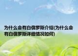 為什么會(huì)有白俄羅斯介紹(為什么會(huì)有白俄羅斯詳細(xì)情況如何)