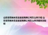 山東安然納米實業(yè)發(fā)展有限公司怎么樣介紹 山東安然納米實業(yè)發(fā)展有限公司怎么樣詳細情況如何