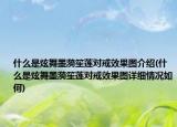 什么是炫舞墨漪笙蓮對(duì)戒效果圖介紹(什么是炫舞墨漪笙蓮對(duì)戒效果圖詳細(xì)情況如何)