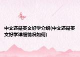 中文還是英文好學(xué)介紹(中文還是英文好學(xué)詳細(xì)情況如何)