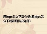 原神pc怎么下載介紹(原神pc怎么下載詳細(xì)情況如何)