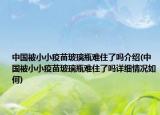 中國被小小疫苗玻璃瓶難住了嗎介紹(中國被小小疫苗玻璃瓶難住了嗎詳細(xì)情況如何)
