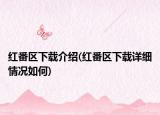 紅番區(qū)下載介紹(紅番區(qū)下載詳細(xì)情況如何)