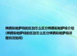 輝騰和帕薩特的區(qū)別怎么區(qū)分輝騰和帕薩特介紹(輝騰和帕薩特的區(qū)別怎么區(qū)分輝騰和帕薩特詳細情況如何)