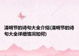 清明節(jié)的詩句大全介紹(清明節(jié)的詩句大全詳細情況如何)
