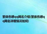 繁體傷感qq網(wǎng)名介紹(繁體傷感qq網(wǎng)名詳細情況如何)