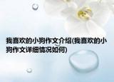 我喜歡的小狗作文介紹(我喜歡的小狗作文詳細(xì)情況如何)