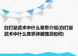 白打是武術(shù)中什么意思介紹(白打是武術(shù)中什么意思詳細(xì)情況如何)