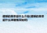 遺憾的意思是什么介紹(遺憾的意思是什么詳細(xì)情況如何)