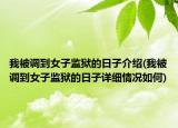我被調(diào)到女子監(jiān)獄的日子介紹(我被調(diào)到女子監(jiān)獄的日子詳細情況如何)