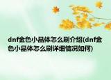 dnf金色小晶體怎么刷介紹(dnf金色小晶體怎么刷詳細情況如何)