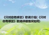 《只對你有感覺》歌詞介紹(《只對你有感覺》歌詞詳細情況如何)