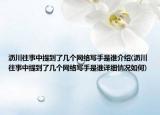 瀝川往事中提到了幾個網(wǎng)絡寫手是誰介紹(瀝川往事中提到了幾個網(wǎng)絡寫手是誰詳細情況如何)
