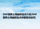 DNF圣騎士純輔助加點介紹(DNF圣騎士純輔助加點詳細情況如何)