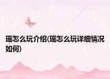 瑤怎么玩介紹(瑤怎么玩詳細情況如何)