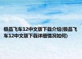 極品飛車12中文版下載介紹(極品飛車12中文版下載詳細(xì)情況如何)