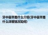 牙中翡翠是什么介紹(牙中翡翠是什么詳細(xì)情況如何)