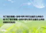 馬丁格爾策略+蒙特卡羅計(jì)算方法是怎么樣的介紹(馬丁格爾策略+蒙特卡羅計(jì)算方法是怎么樣的詳細(xì)情況如何)