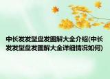 中長發(fā)發(fā)型盤發(fā)圖解大全介紹(中長發(fā)發(fā)型盤發(fā)圖解大全詳細情況如何)