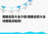 相冊名稱大全介紹(相冊名稱大全詳細(xì)情況如何)
