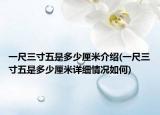 一尺三寸五是多少厘米介紹(一尺三寸五是多少厘米詳細(xì)情況如何)